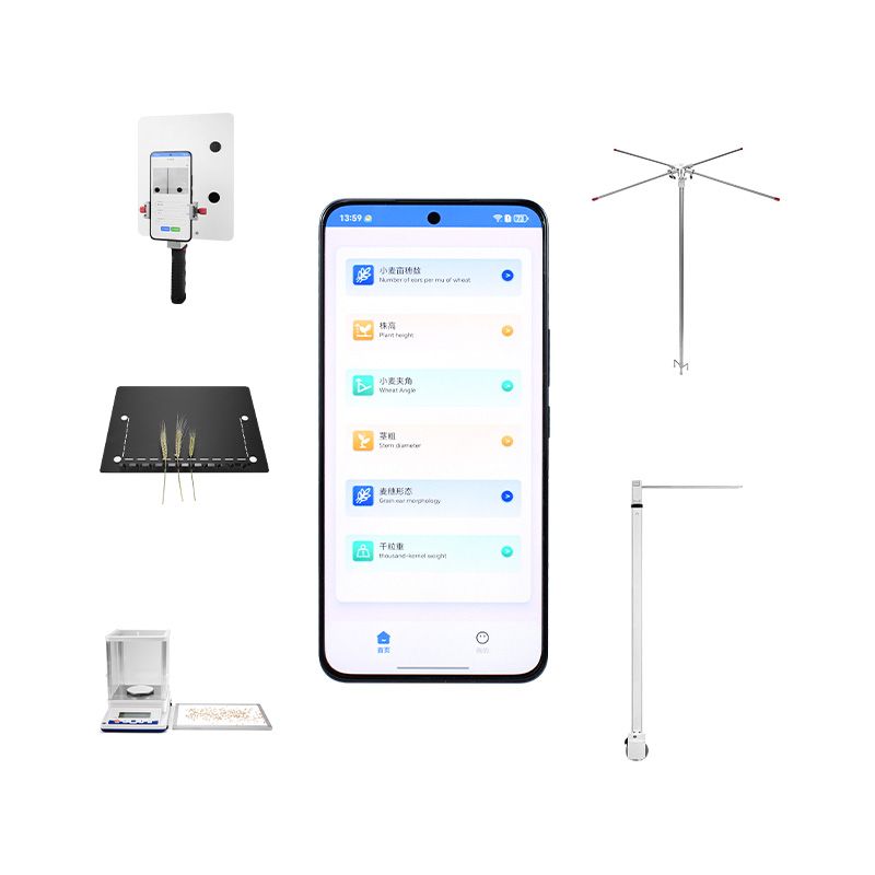 小麥表型分析系統(tǒng)