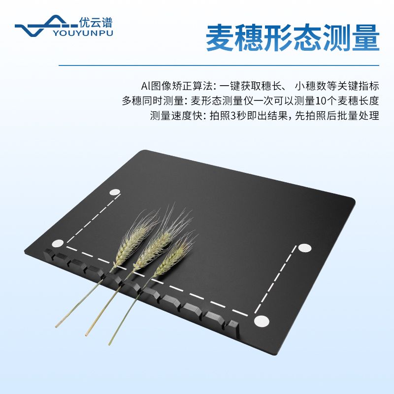 小麥表型檢測系統(tǒng)